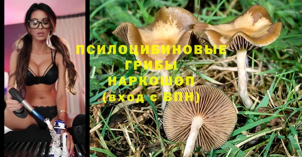 ALPHA-PVP Абинск