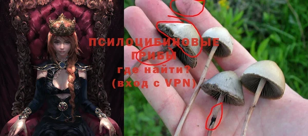 амф Абаза